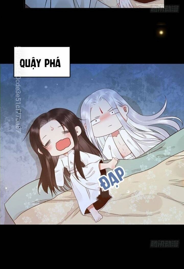 Tuyệt Sắc Quyến Rũ: Quỷ Y Chí Tôn: Chapter 207.1