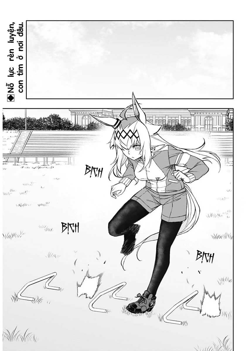 Uma Musume: Cinderella Gray: Chapter 19