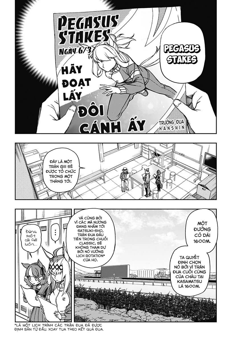 Uma Musume: Cinderella Gray: Chapter 19