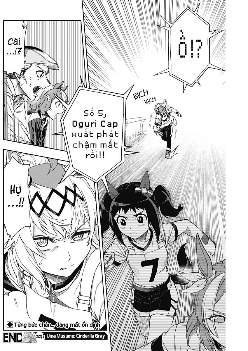 Uma Musume: Cinderella Gray: Chapter 2