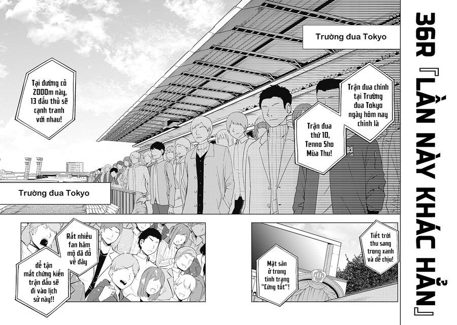 Uma Musume: Cinderella Gray: Chapter 36