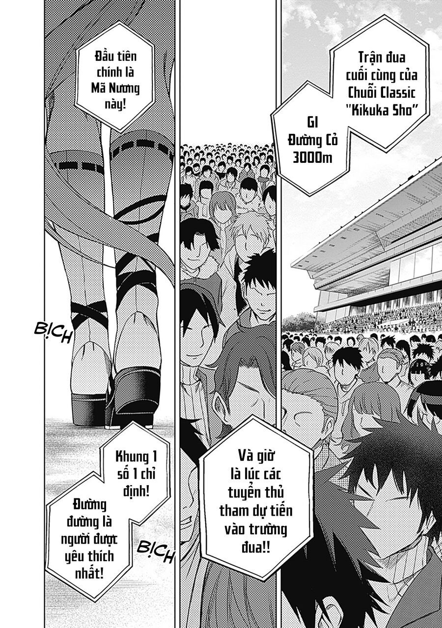 Uma Musume: Cinderella Gray: Chapter 45