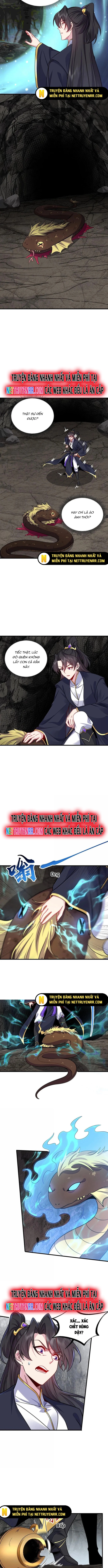 Vai Ác Sư Tôn Mang Theo Các Đồ Đệ Vô Địch Thiên Hạ: Chapter 164