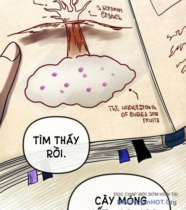 Vampire Giả Kim Thuật Sư: Chapter 4