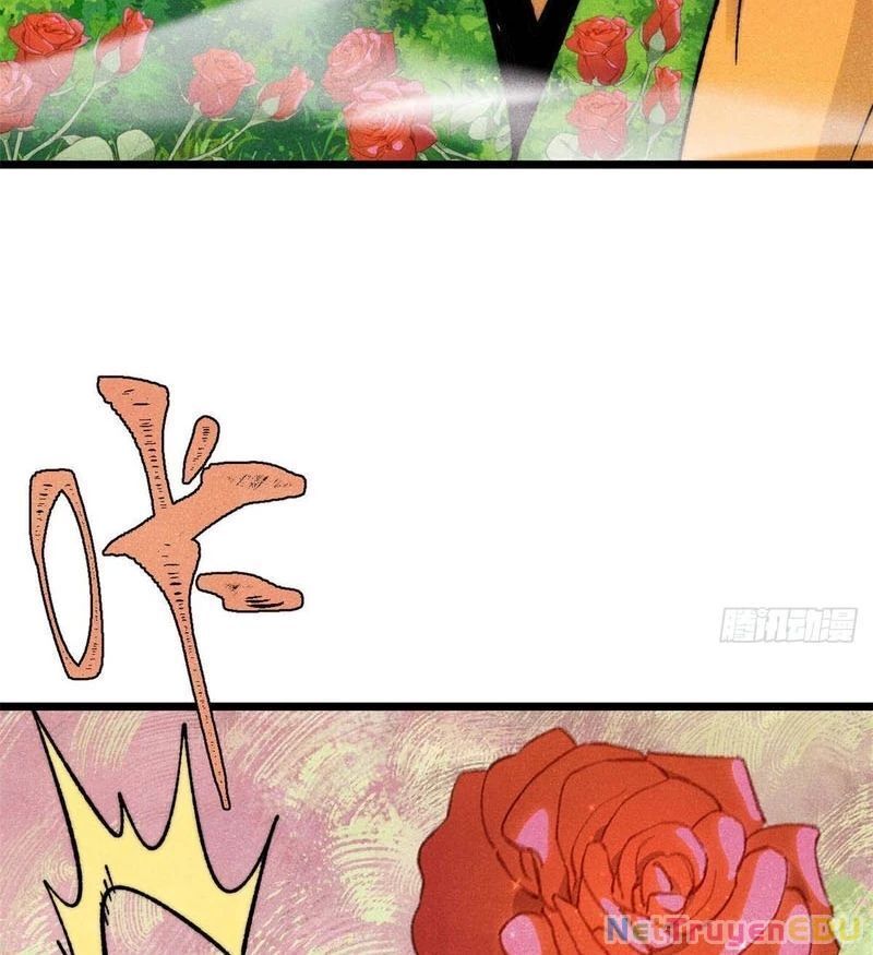 Vạn Cổ Tối Cường Tông: Chapter 398.9