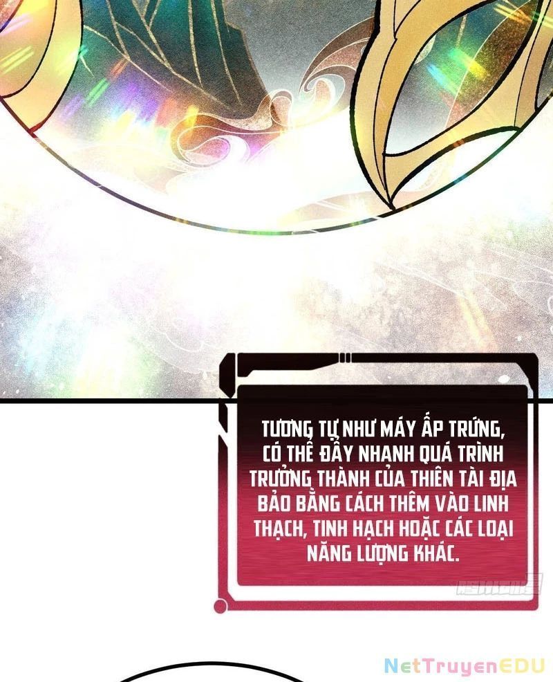 Vạn Cổ Tối Cường Tông: Chapter 399.9