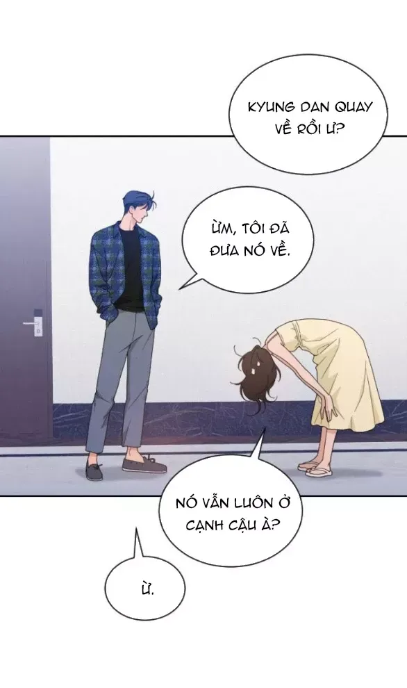 Vận May Không Ngờ: Chapter 50.2