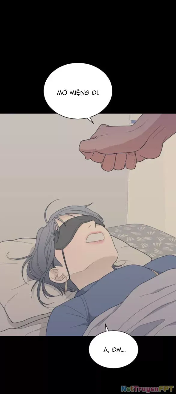 Vận May Không Ngờ: Chapter 54.1