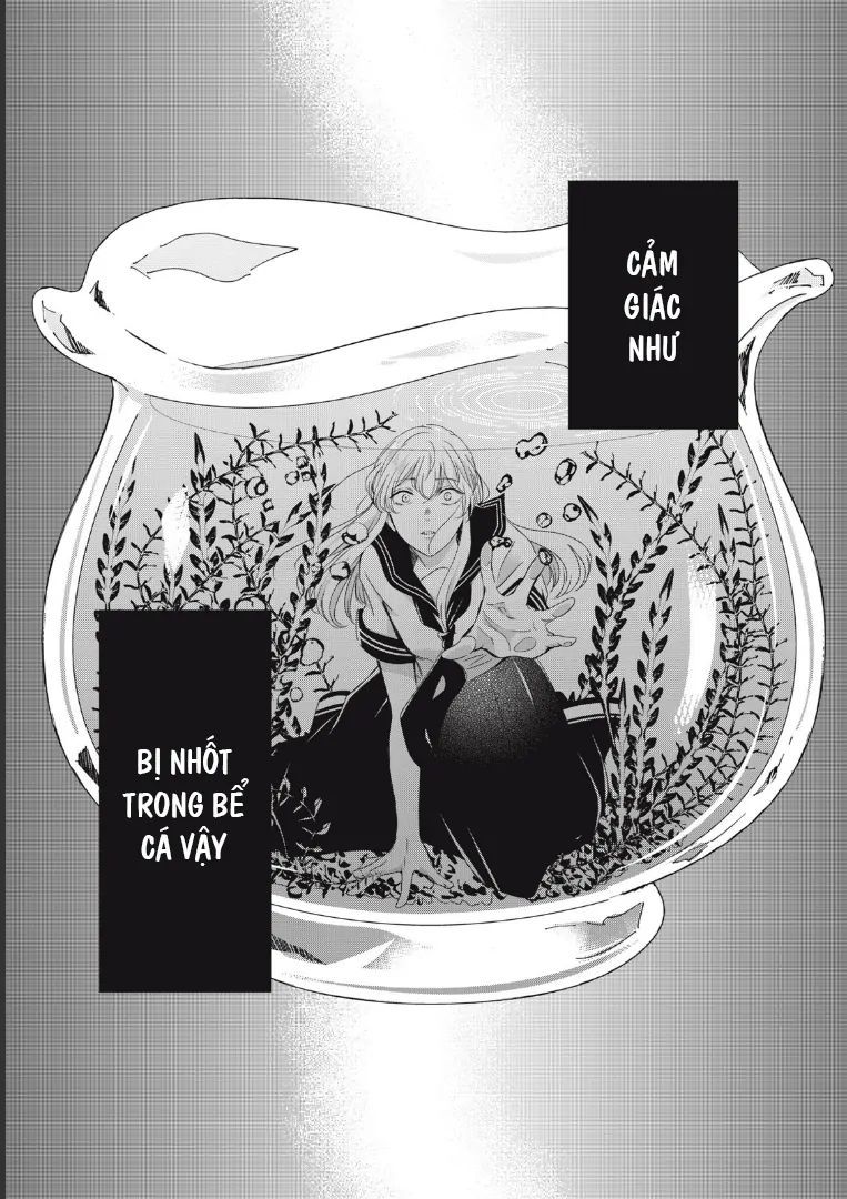 Vầng Trăng Đêm Mưa: Chapter 20