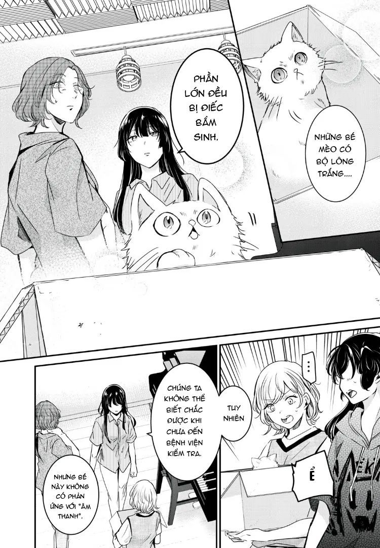 Vầng Trăng Đêm Mưa: Chapter 21