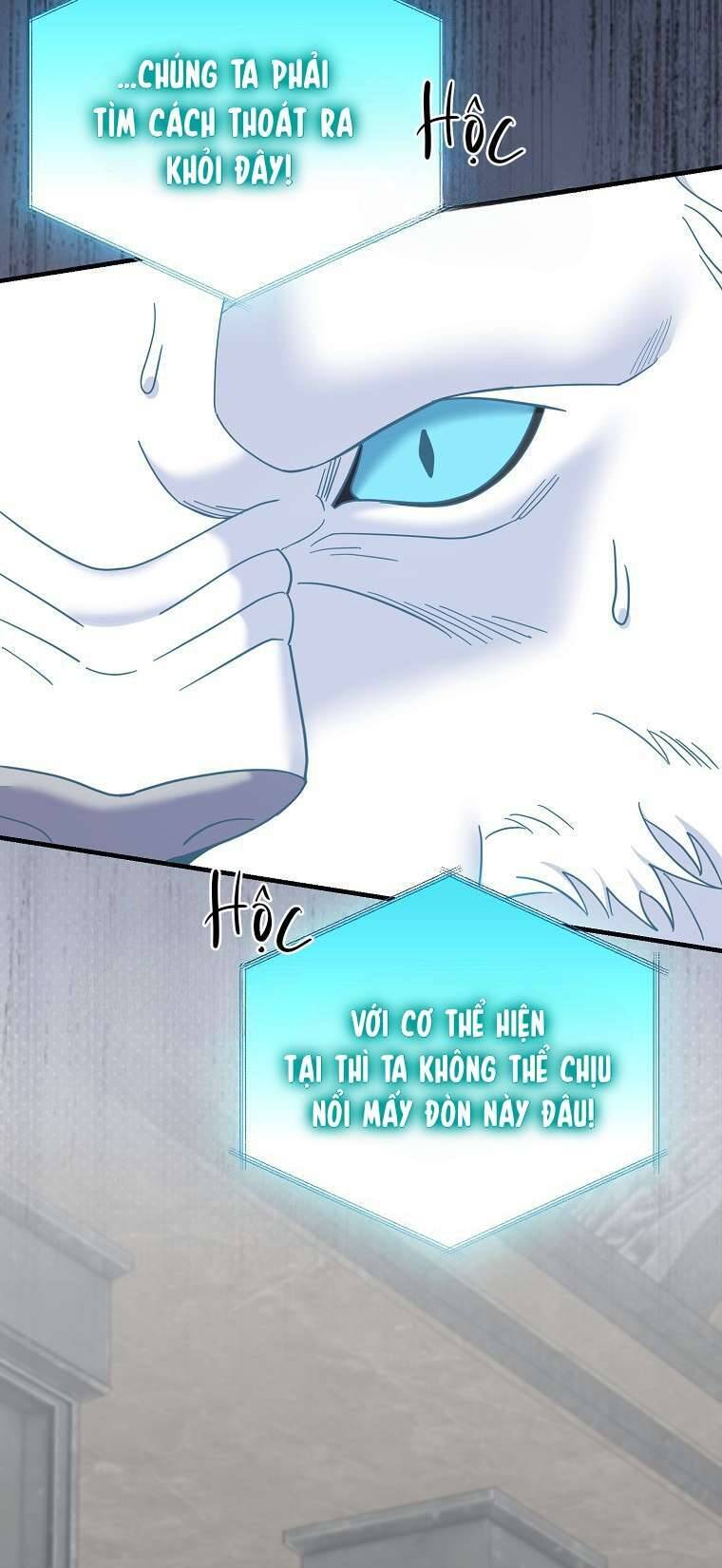 Vị Hôn Phu Phản Diện Cản Trở Con Đường Hoa Của Tôi: Chapter 68