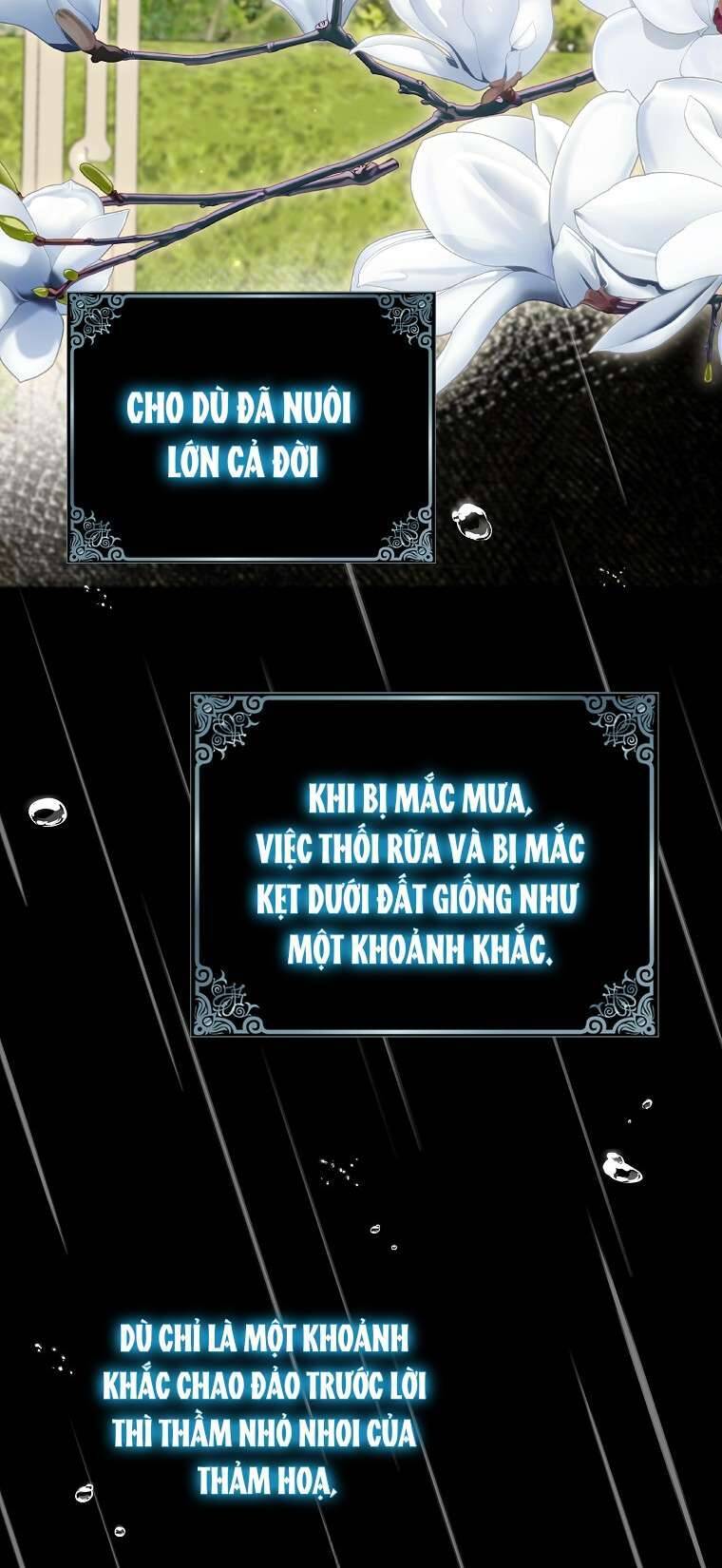 Vị Hôn Phu Phản Diện Cản Trở Con Đường Hoa Của Tôi: Chapter 70