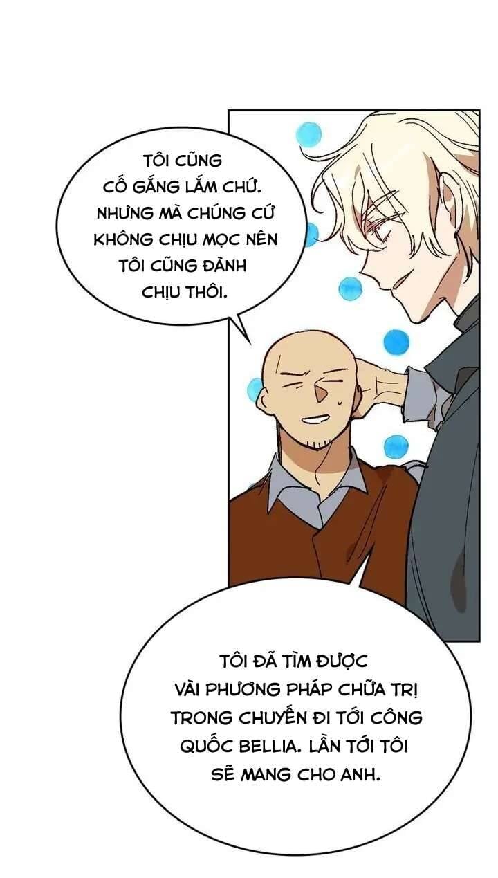 Vị Hôn Thê Khế Ước Của Công Tước: Chapter 126