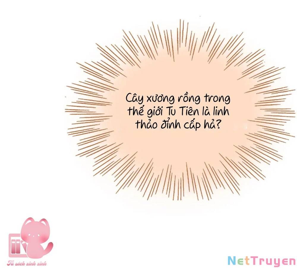 Vi Phu Của Ta Là Long Ngạo Thiên Phần 2: Chapter 35