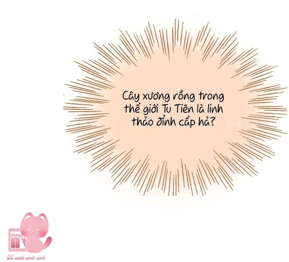 Vi Phu Của Ta Là Long Ngạo Thiên Phần 2: Chapter 36