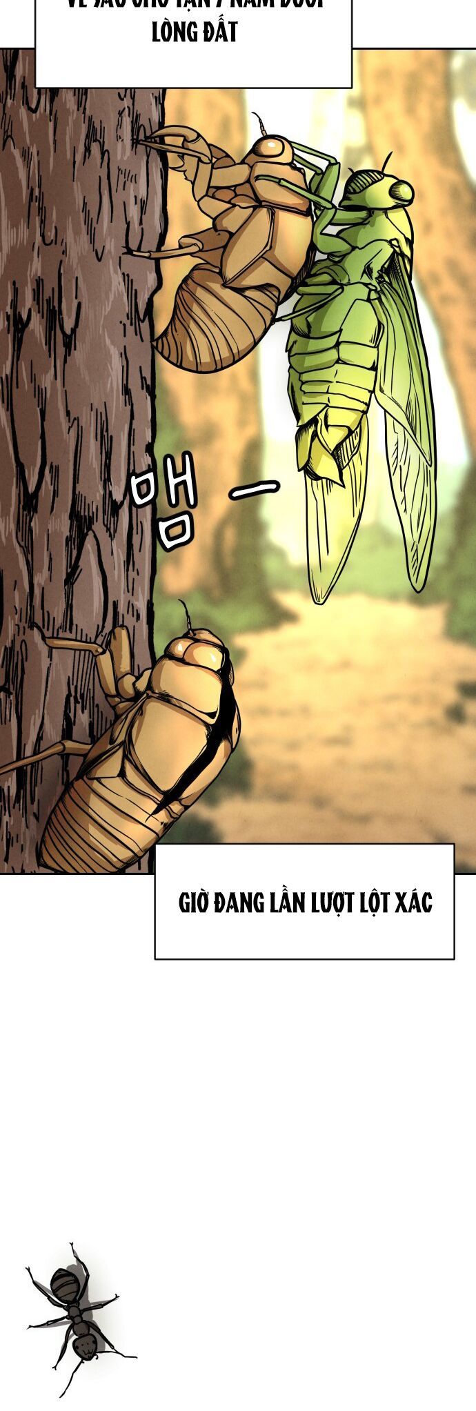 Vỏ Bọc: Chapter 2