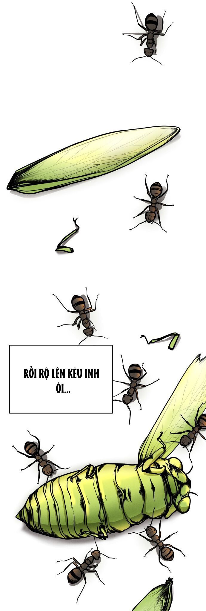 Vỏ Bọc: Chapter 2