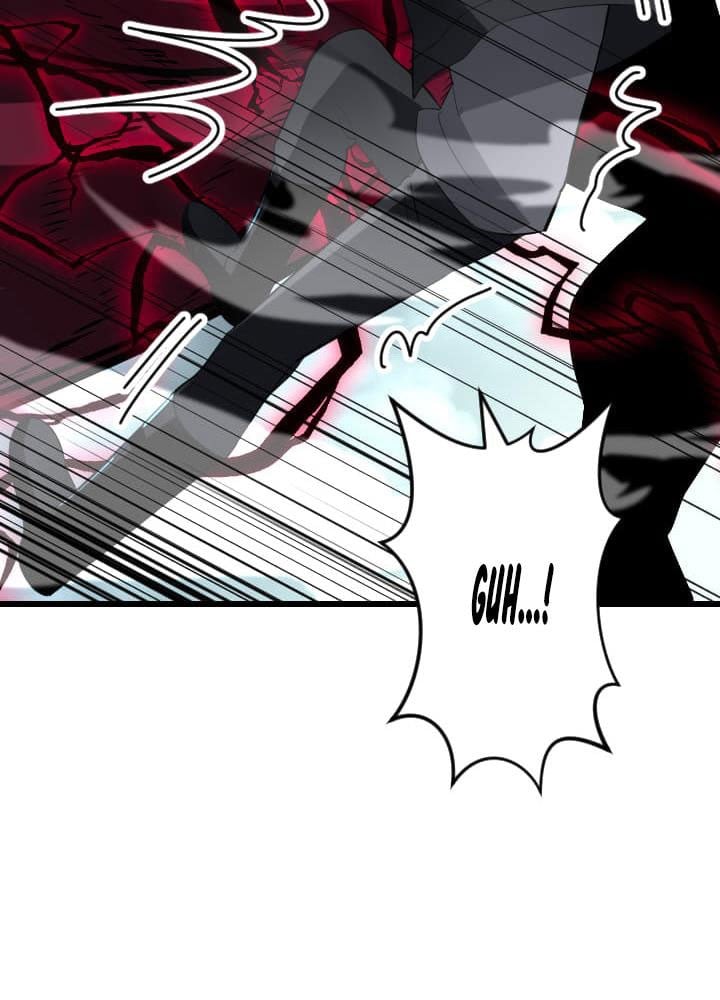 Vô Song Cùng Với Vũ Khí Ẩn: Chapter 48