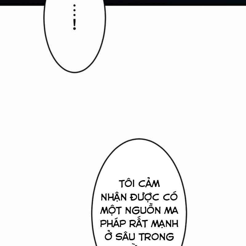 Vô Song Cùng Với Vũ Khí Ẩn: Chapter 52