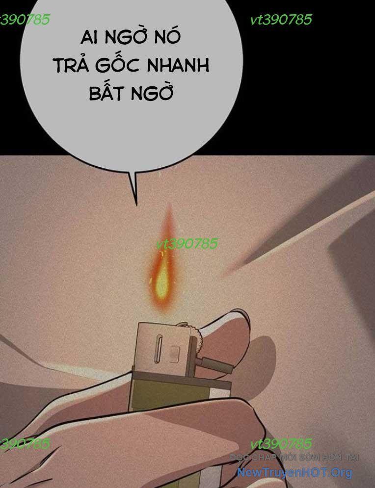 Vương Hậu Đi Học: Chapter 50