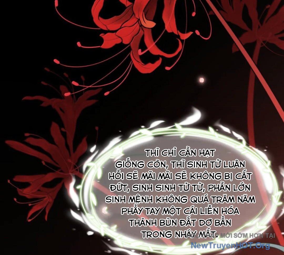 Vượt Cấp Xuyên Không, Tại Sao Tôi Lại Trở Thành Tiểu Thư Tu Sĩ?: Chapter 49