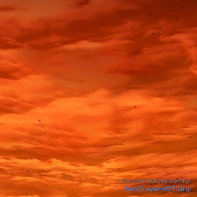 Wild Ranker: Chapter 16