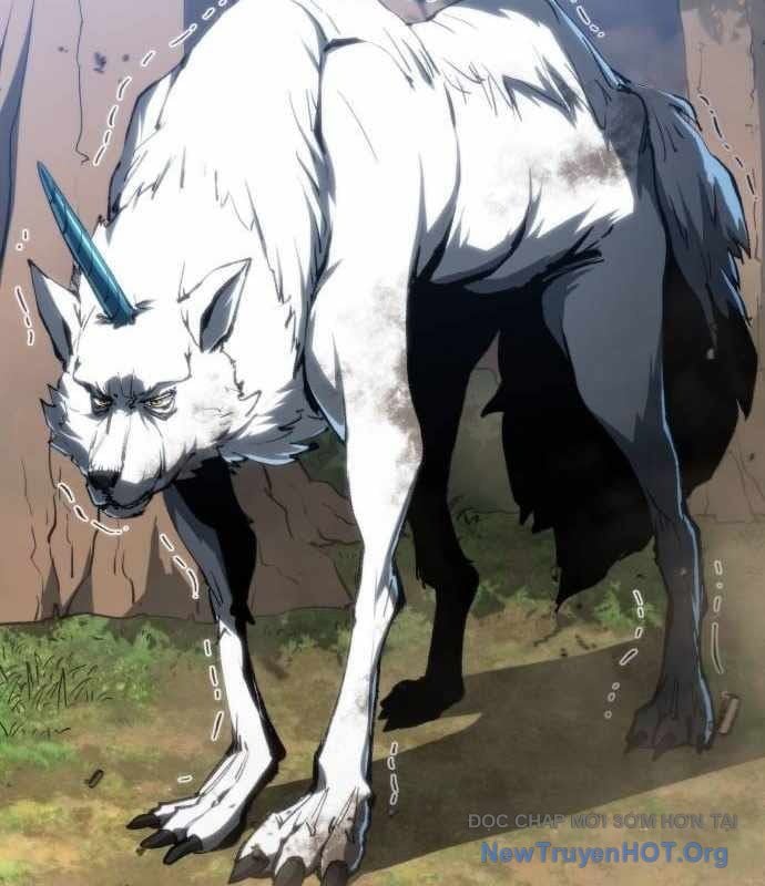 Wild Ranker: Chapter 17