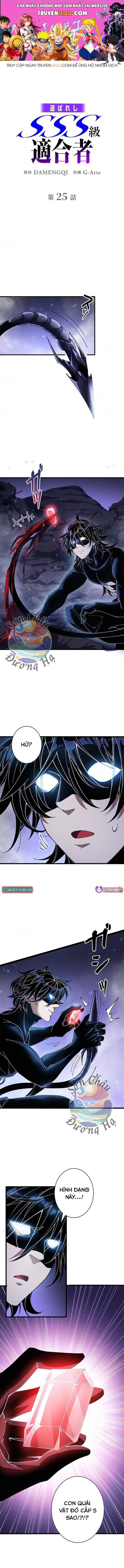 Xếp Hạng Cấp Sss Được Chọn: Chapter 25