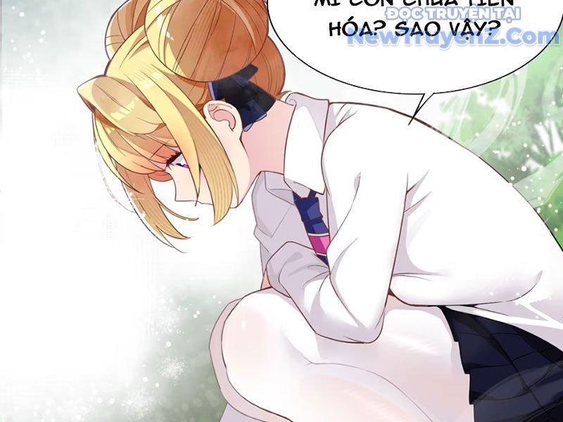 Xong Rồi, Ta Bị Sủng Thú Của Mình Bao Vây Rồi!: Chapter 1