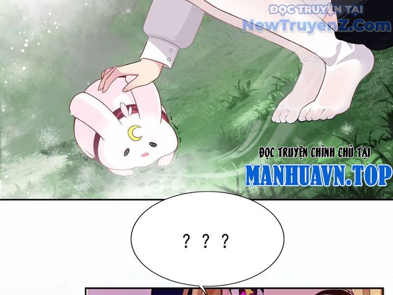 Xong Rồi, Ta Bị Sủng Thú Của Mình Bao Vây Rồi!: Chapter 1