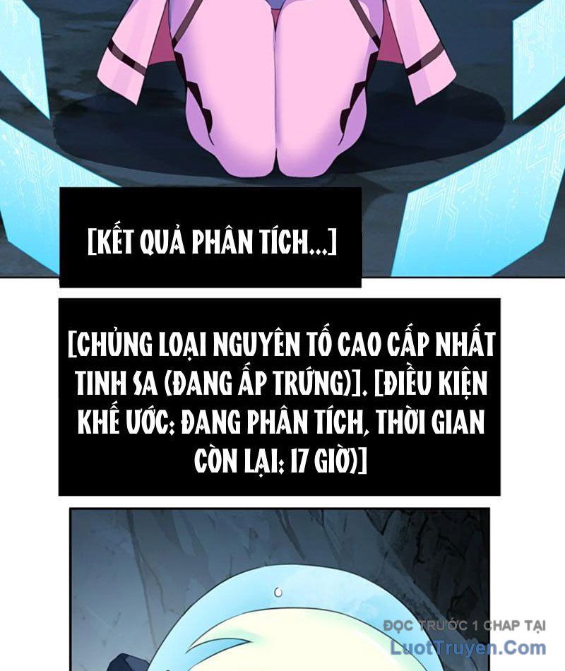 Xong Rồi, Ta Bị Sủng Thú Của Mình Bao Vây Rồi!: Chapter 12
