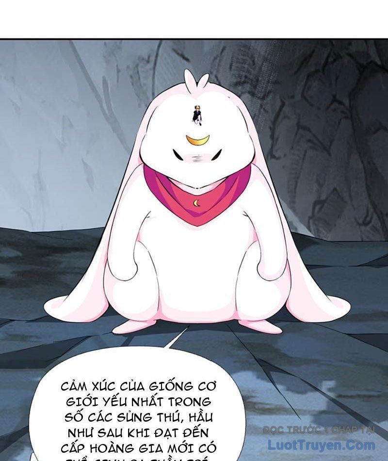 Xong Rồi, Ta Bị Sủng Thú Của Mình Bao Vây Rồi!: Chapter 13