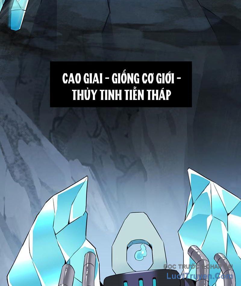 Xong Rồi, Ta Bị Sủng Thú Của Mình Bao Vây Rồi!: Chapter 13