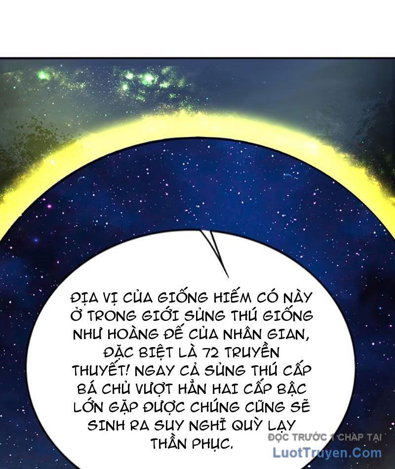 Xong Rồi, Ta Bị Sủng Thú Của Mình Bao Vây Rồi!: Chapter 14