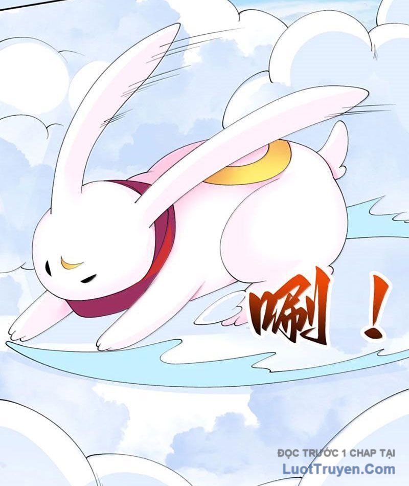 Xong Rồi, Ta Bị Sủng Thú Của Mình Bao Vây Rồi!: Chapter 19