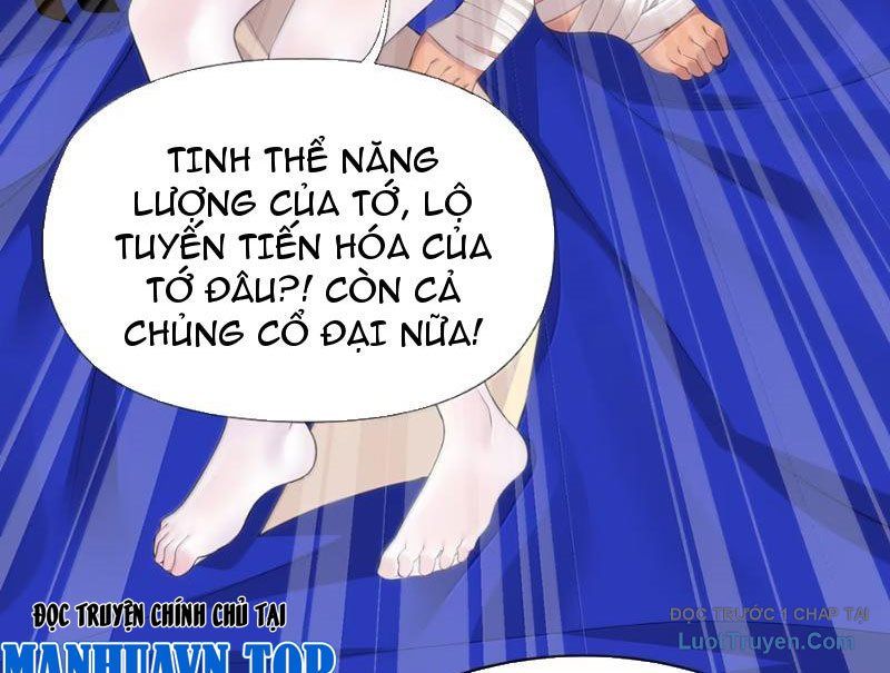 Xong Rồi, Ta Bị Sủng Thú Của Mình Bao Vây Rồi!: Chapter 24