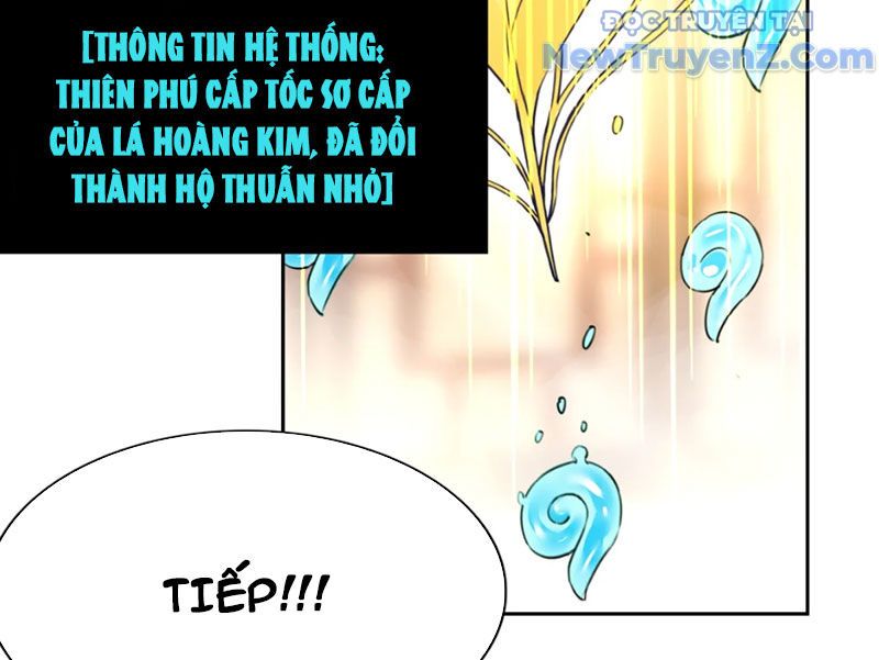Xong Rồi, Ta Bị Sủng Thú Của Mình Bao Vây Rồi!: Chapter 4