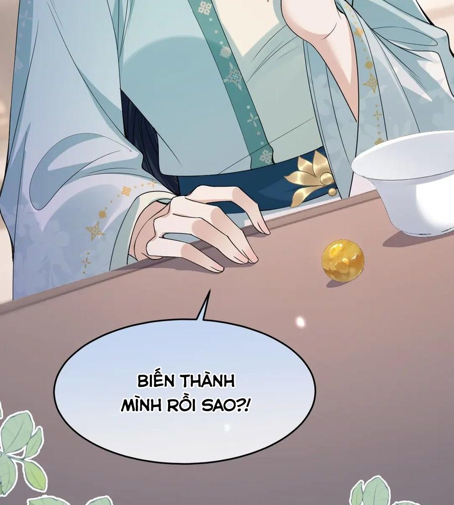 Xuyên Không Rồi, Cần Quái Gì Thể Thống: Chapter 16