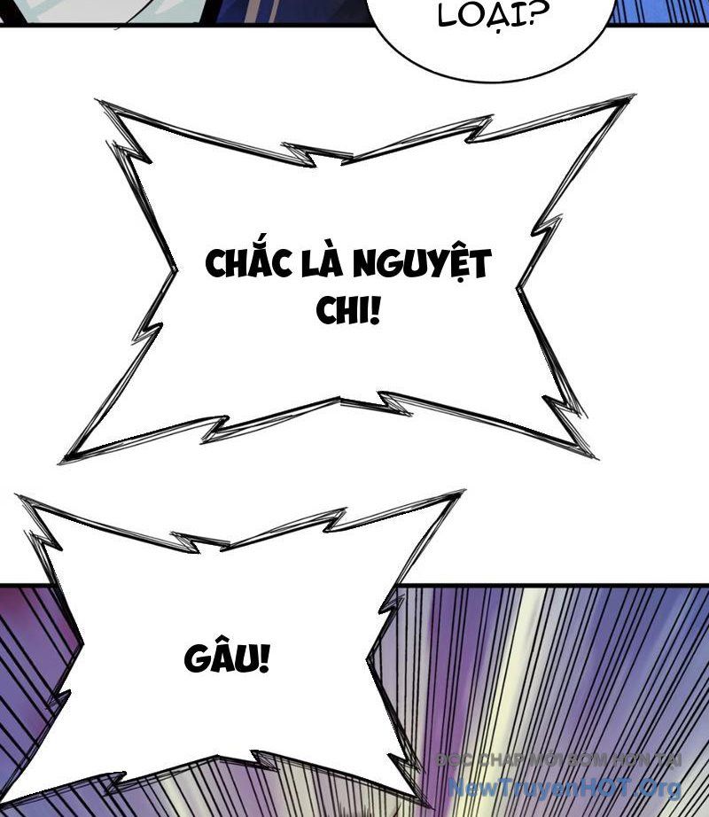 Xuyên Không Thành Ma Tôn Pháo Hôi? Nhưng Ta Là Streamer Công Lược: Chapter 4