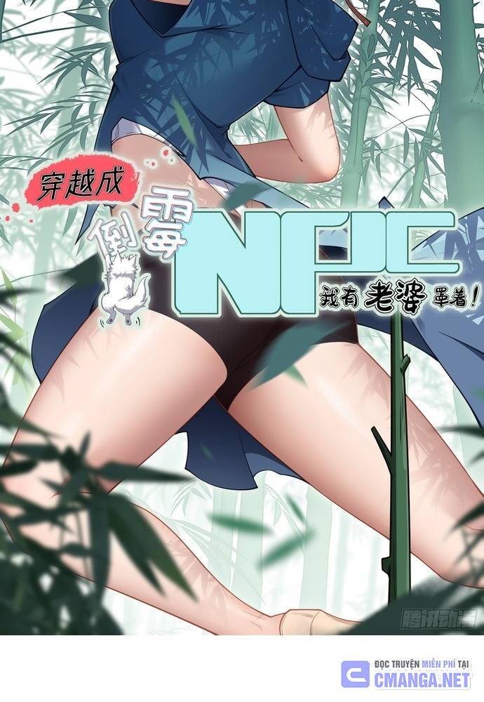 Xuyên Không Thành Npc: Ta Có Lão Bà Che Chở: Chapter 12