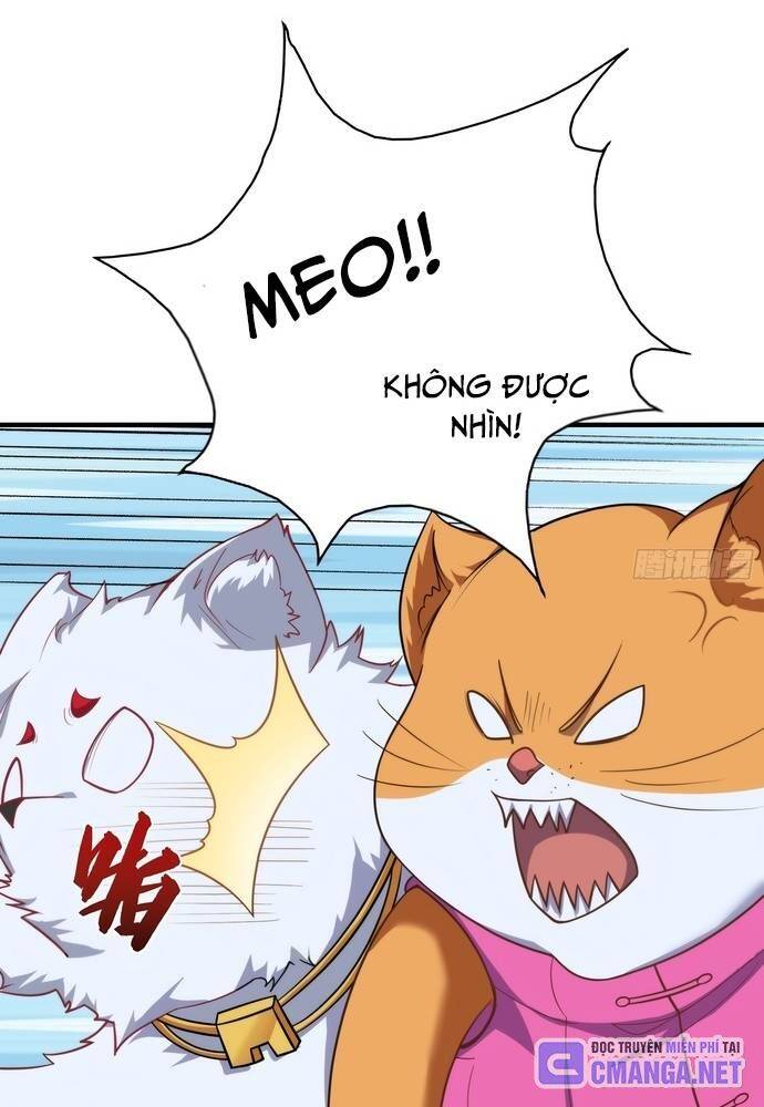 Xuyên Không Thành Npc: Ta Có Lão Bà Che Chở: Chapter 12