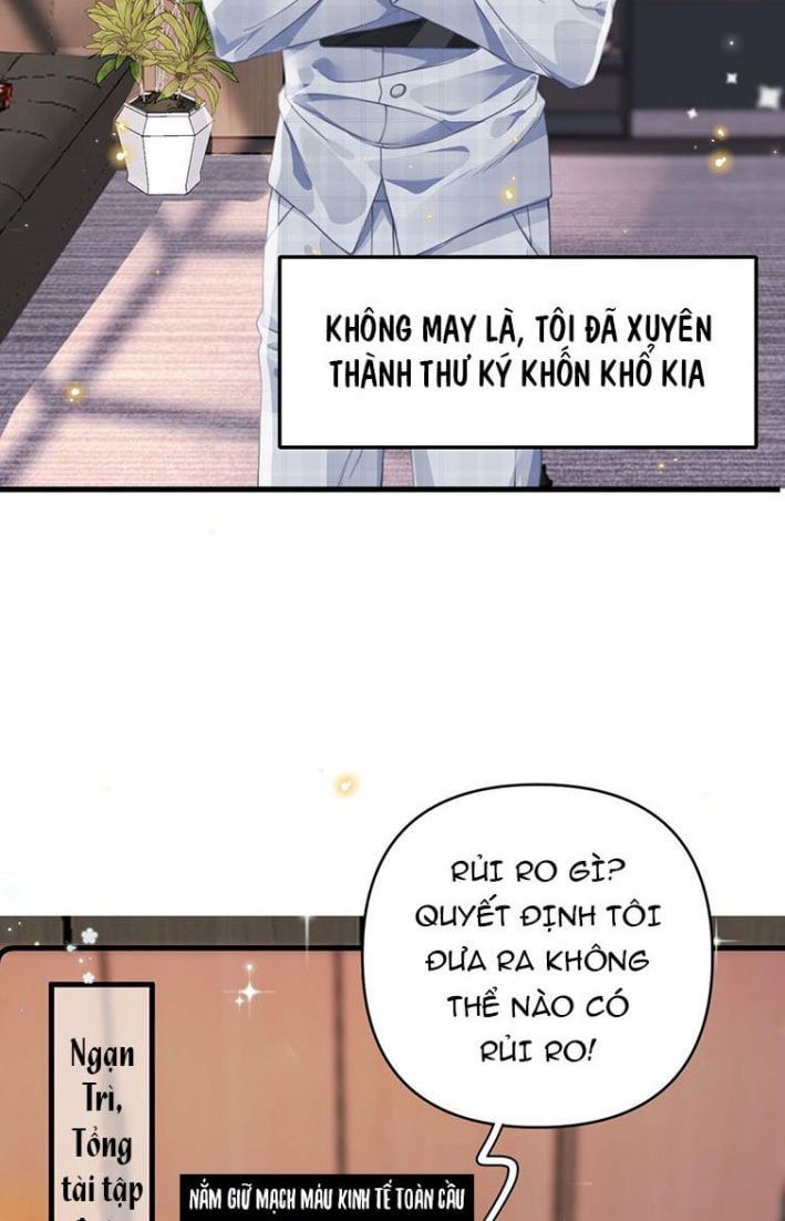 Xuyên Thành Bí Thư Khổ Bức Trong Truyện Bá Tổng: Chapter 1