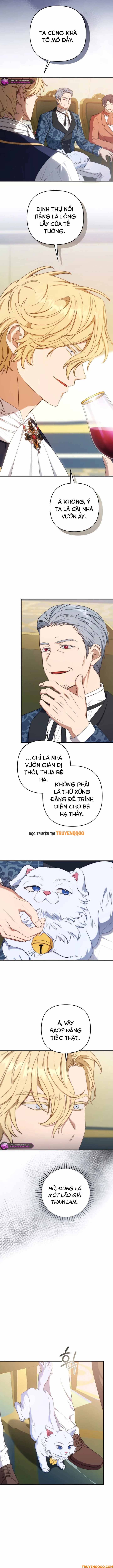 Your Majesty, Please Stop Now: Chapter 27